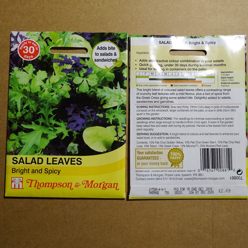 Example of Mixed Salad Leaves Bright and Spicy - Mesclun specimen as delivered