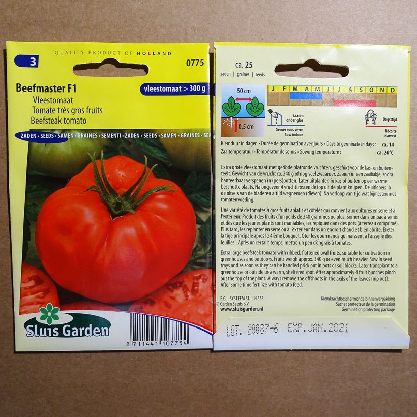 Example of Tomato Beefmaster F1 specimen as delivered