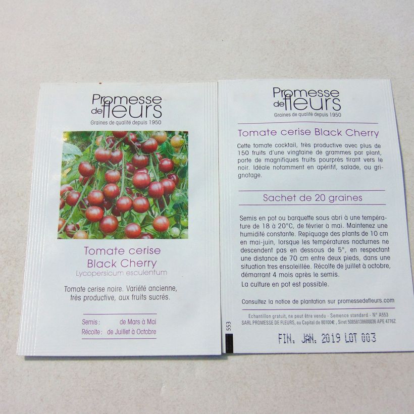 Example of Black Cherry Tomato Seeds specimen as delivered