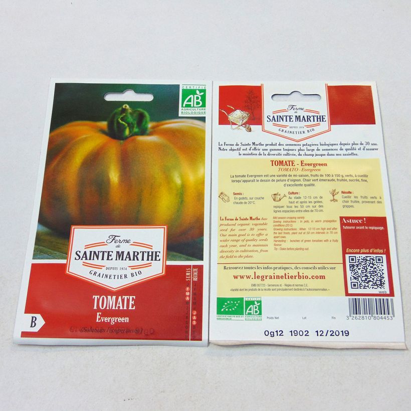 Example of Evergreen Organic Tomato - Ferme de Sainte Marthe seeds specimen as delivered