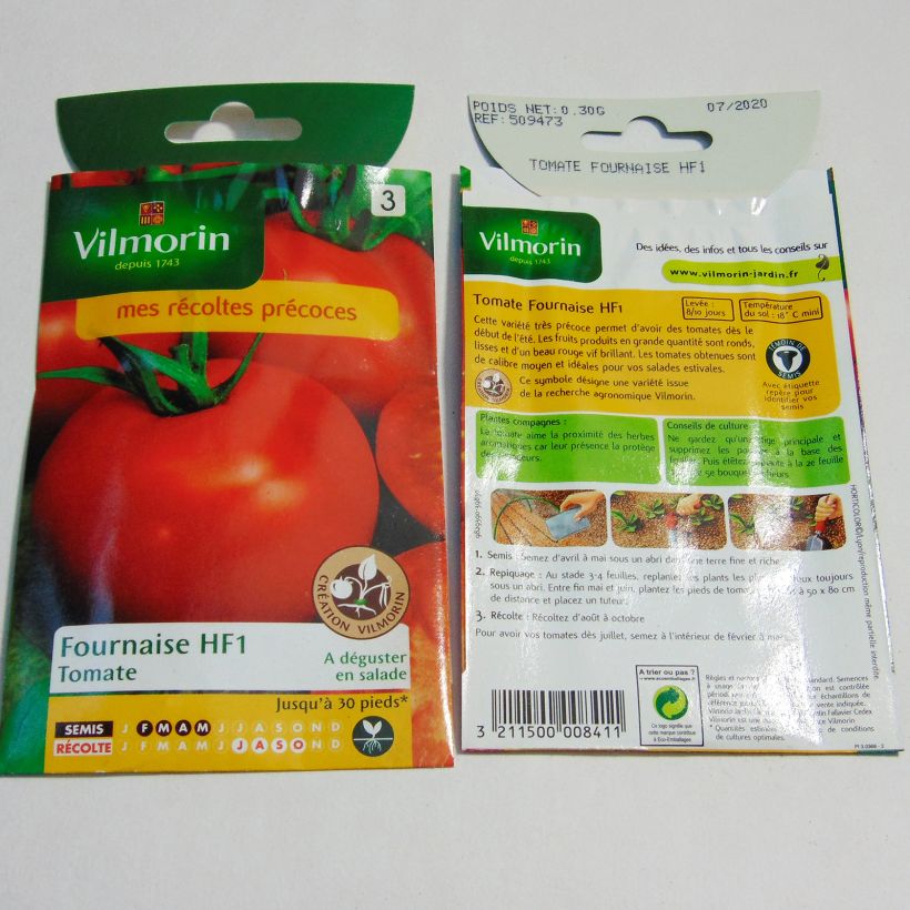 Example of Fournaise F1 Tomato - Vilmorin seeds specimen as delivered