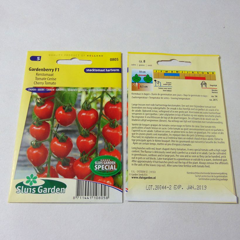 Example of Gardenberry F1 Tomato - Cherry Tomato specimen as delivered
