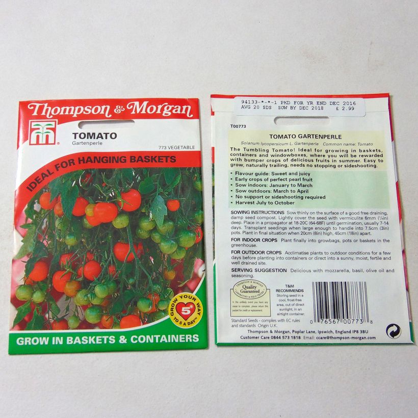 Example of Tomato Gartenperle specimen as delivered
