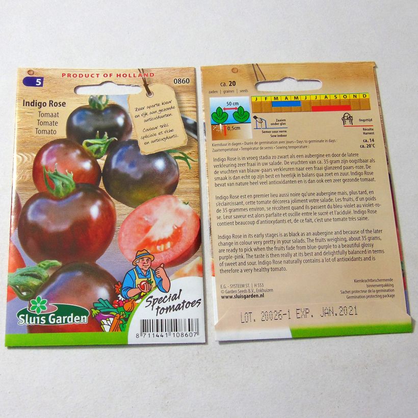 Example of Indigo Rose Tomato specimen as delivered