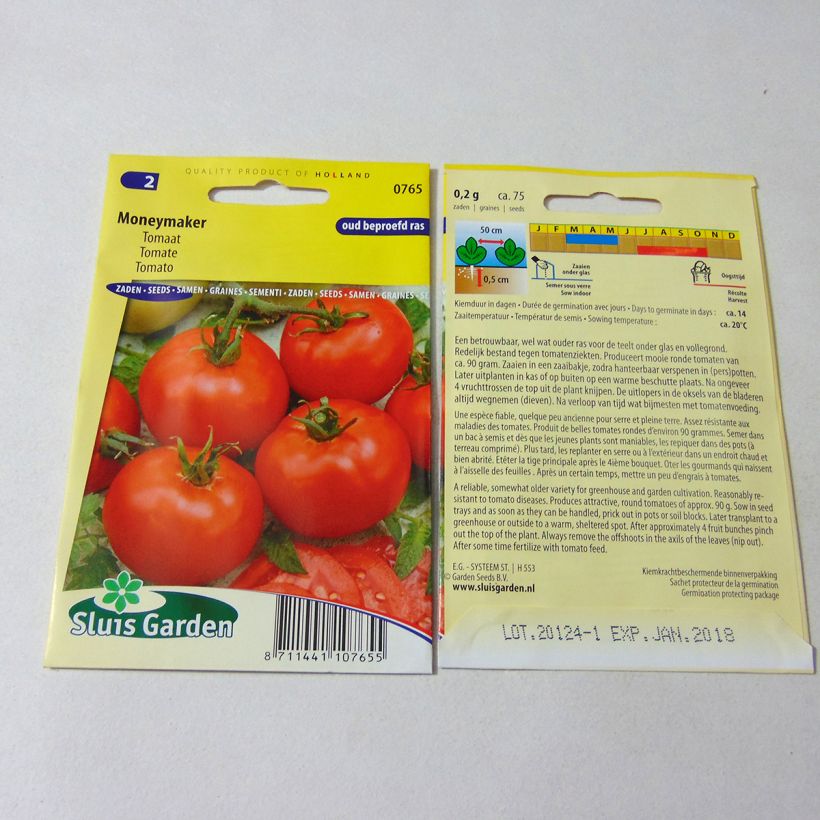 Example of Tomato Moneymaker specimen as delivered