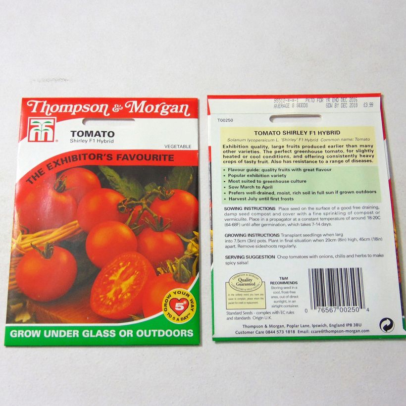 Example of Tomato Shirley F1 specimen as delivered