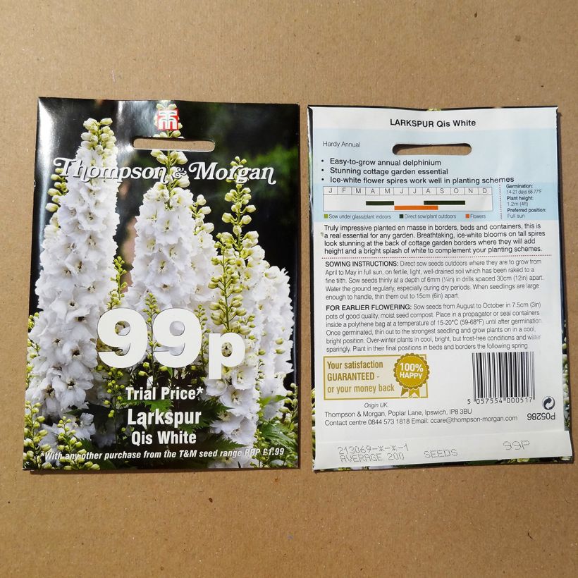 Example of Giant Larkspur Qis White Seeds - Annual Delphinium specimen as delivered