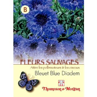 Blue Diadem Cornflower - Centaurea cyanus seeds