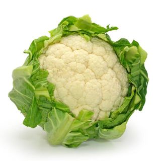 Cauliflower Extra-Early of Angers - Brassica oleracea