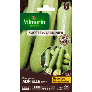 Courgette Adrielle F1 - Vilmorin Seeds