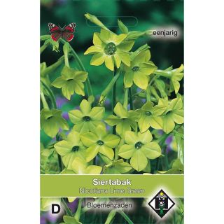 Tobacco plant Lime Green Seeds - Nicotiana alata