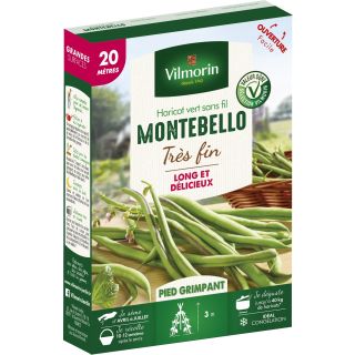 French Filet Pole Bean Montebello - Vilmorin Seeds