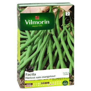 Dwarf French Bean Facila - Vilmorin Seeds