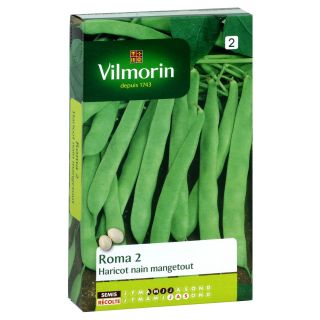 Dwarf Bean Roma 2 - Vilmorin Seeds