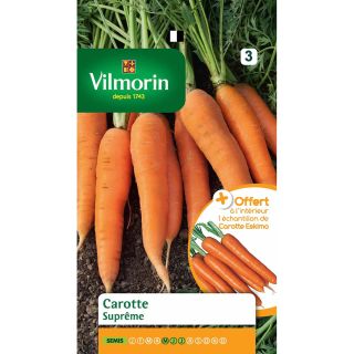 Carrot Supreme - Vilmorin seeds - Daucus carota