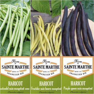 Neck of 3 colourful and productive ORGANIC beans - Sainte-Marthe Farm