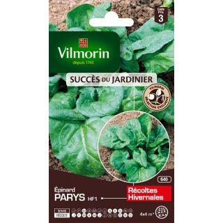 Spinach Parys F1 - Vilmorin Seeds