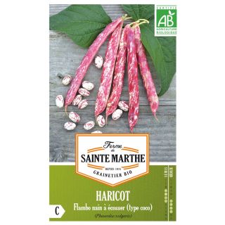 Dwarf Bean for Shelling Flambo- Ferme de Sainte Marthe seeds