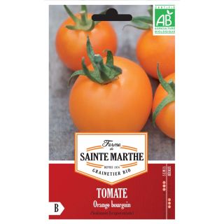 Orange Bourgoin Organic Tomato - Ferme de Sainte Marthe seeds