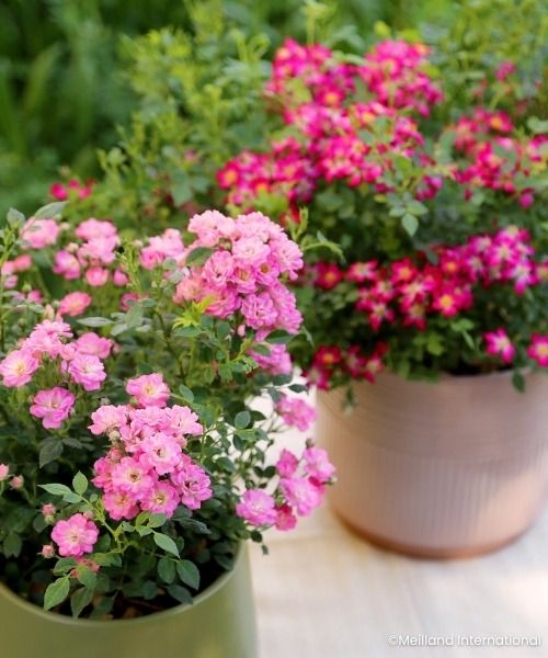 PATIO OR BALCONY:  GO FOR THE COMPACT SIZE
