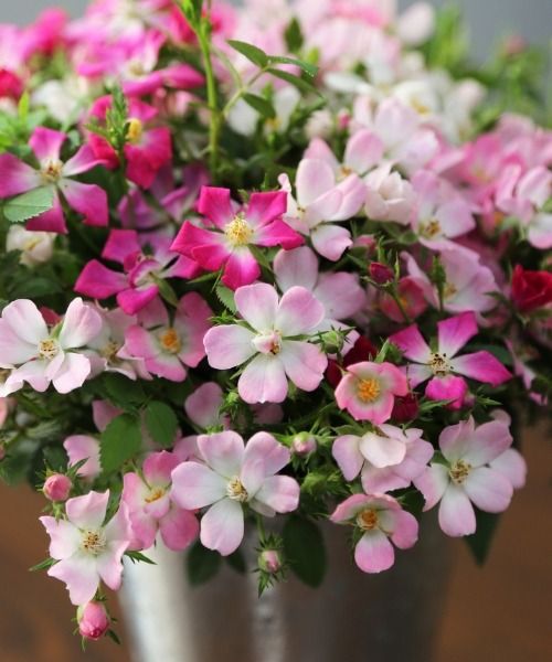 You’ll love these amazing new miniature items!