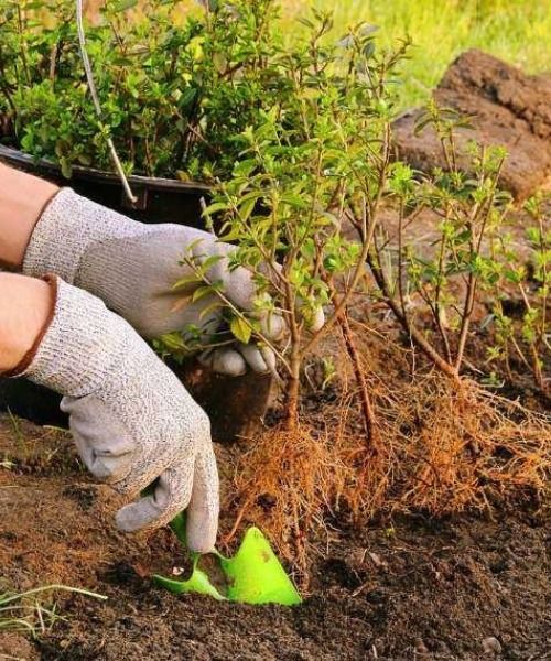 It's planting season!