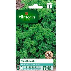 Curly Parsley Alto - Vilmorin Seeds