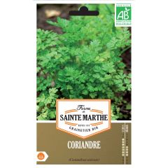 Coriandrum sativum 'Saint Marthe's Farm'