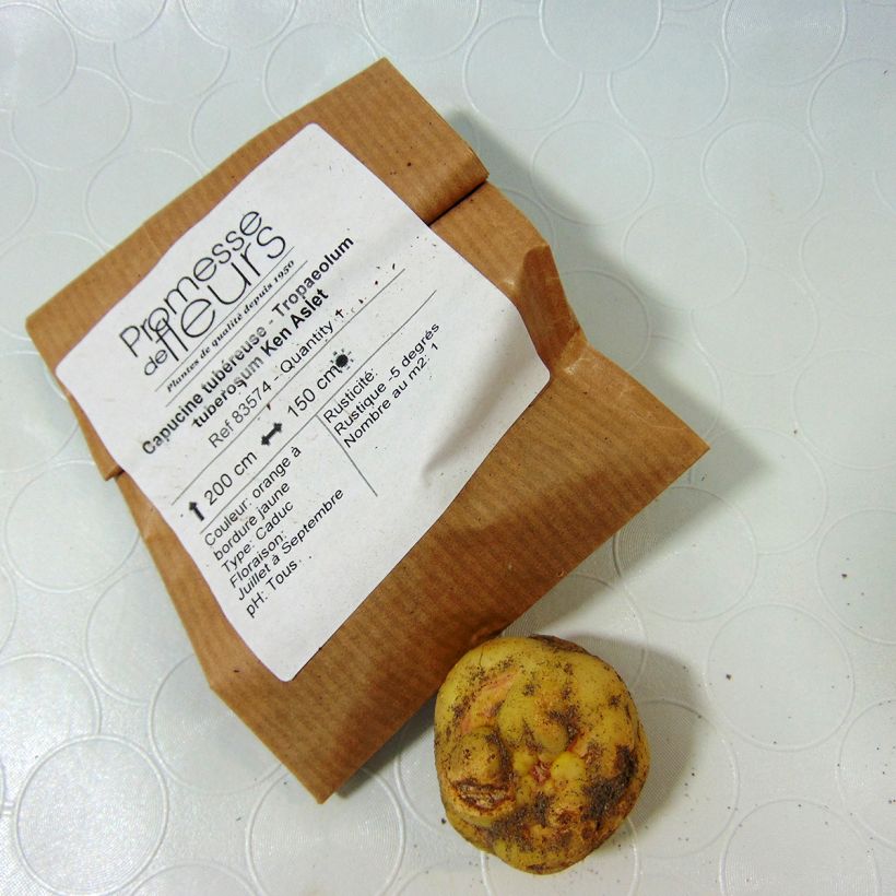 Example of Tropaeolum tuberosum Ken Aslet Bulb specimen as delivered