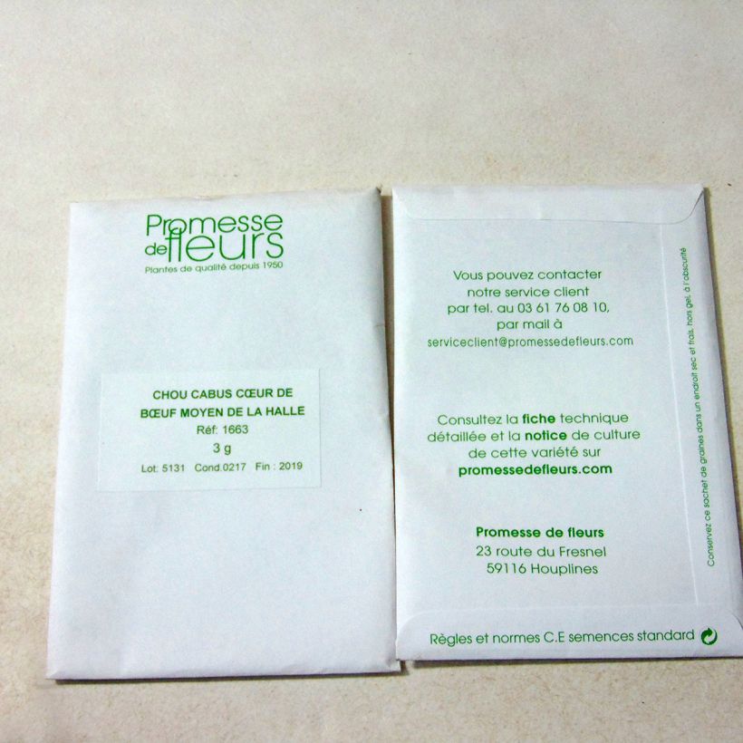 Example of Cabbage Cœur de Bœuf Moyen de la Halle - Brassica oleracea capitata per pack of 600 seeds approximately (3g) specimen as delivered