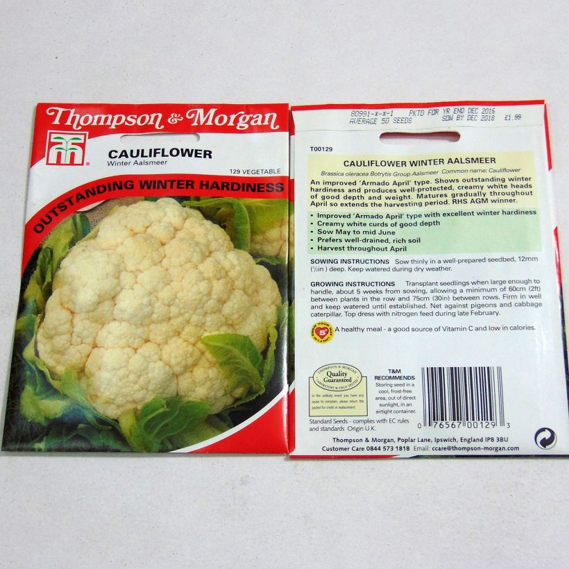 Example of Cauliflower Winter Aalsmeer per pack of 50 seeds specimen as delivered