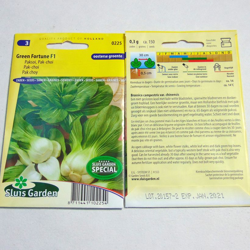 Example of Chinese Cabbage Green Fortune F1 - Pak Choi per pack of 150 seeds specimen as delivered