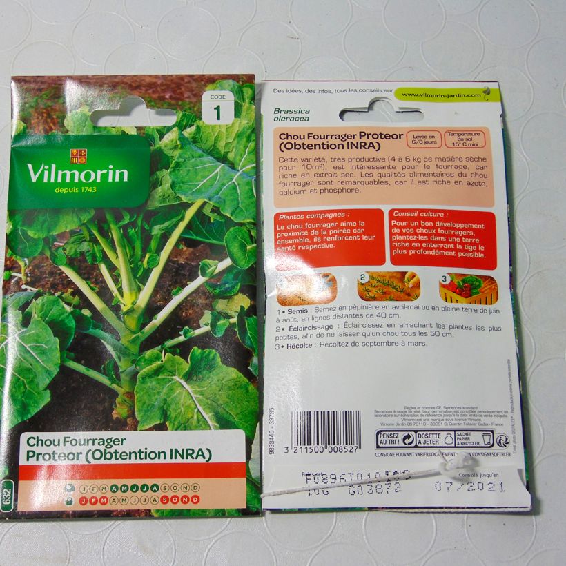 Example of Brassica oleracea Proteor INRA seeds - Fodder cabbage - Vilmorin Seeds per pack of 4000 seeds (10g) specimen as delivered