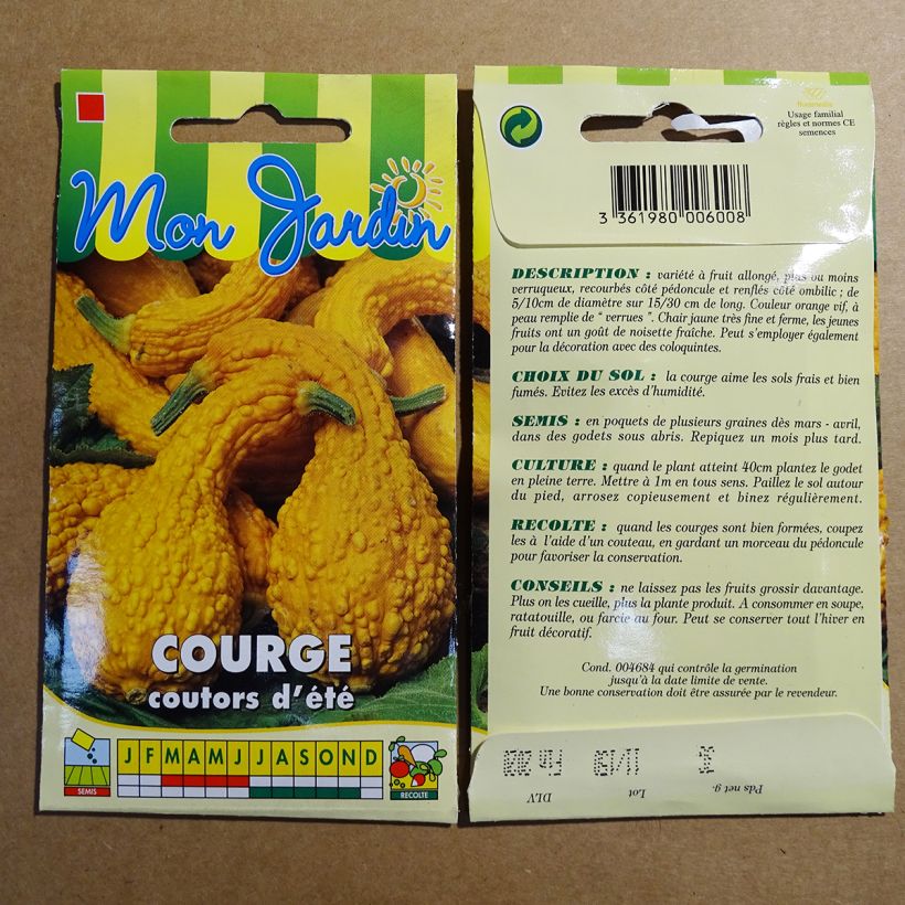 Example of Twisted Neck Squash - Cucurbita pepo per pack of 18 seeds (3g) specimen as delivered