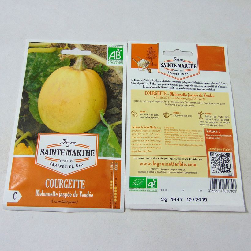 Example of Cucurbita pepo Melonnette Jaspée de Vendée organic seeds - Winter squash per pack of 10 seeds (2g) specimen as delivered
