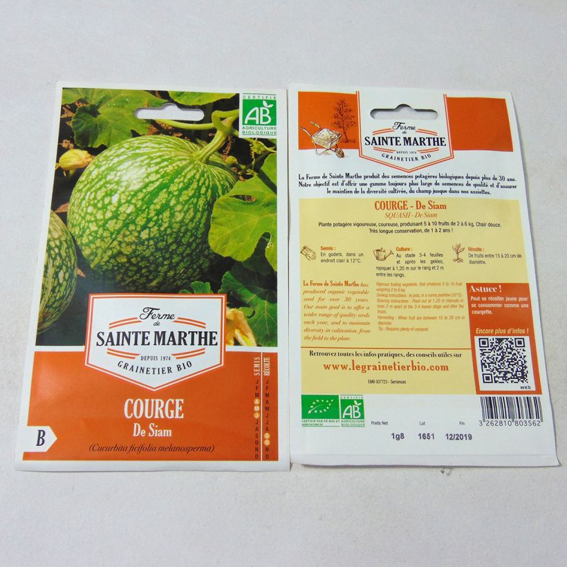Example of Cucurbita ficifolia organic seeds - Fig leaf squash per pack of 8 seeds (1,8g) specimen as delivered
