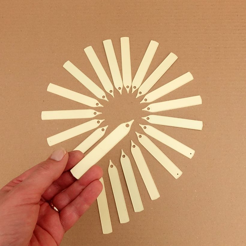 Example of Narrow ivory plant label Tin specimen as delivered