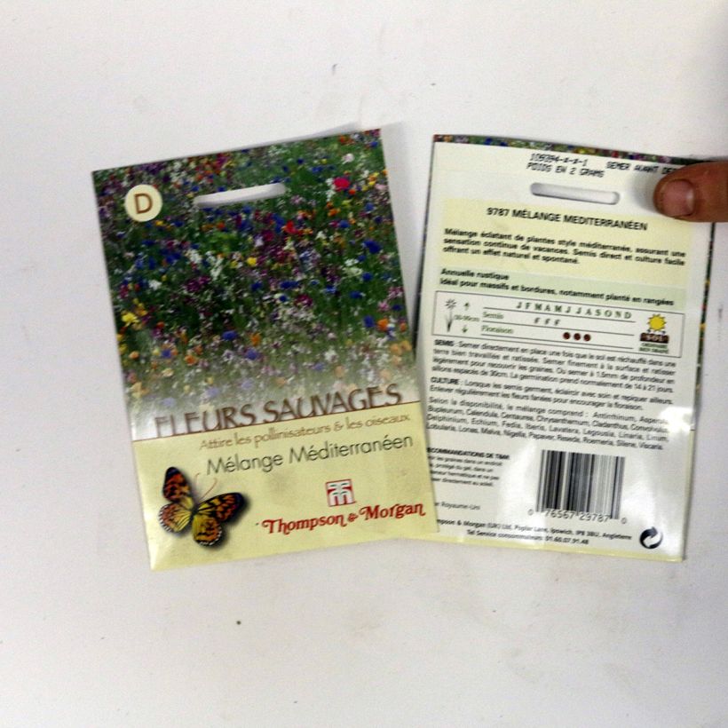 Example of Wildflowers - Mediterranean Mix - seeds per 2 g seed pack specimen as delivered