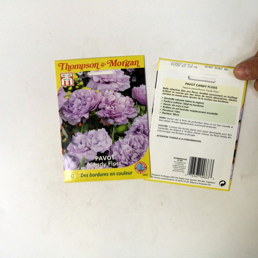 Example of Opium Poppy Candy Floss Seeds - Papaver somniferum per pack of 300 seeds specimen as delivered