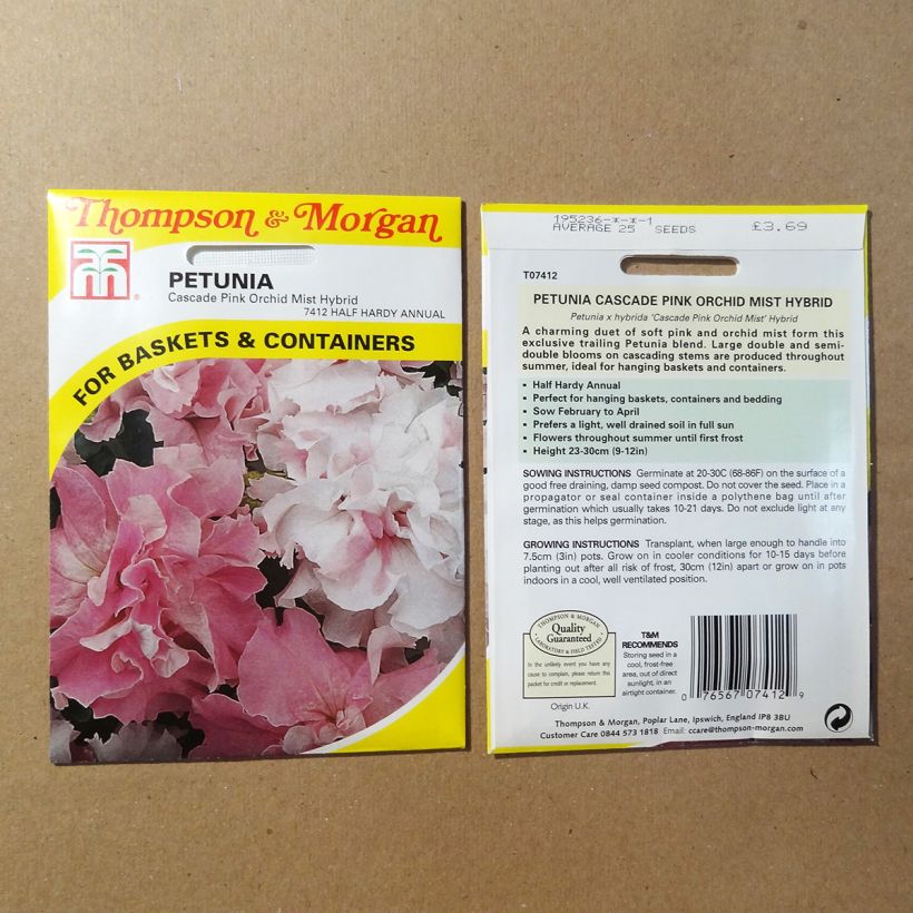 Example of Petunia Cascade Pink Orchid Mist F1 Seeds per pack of 25 seeds specimen as delivered