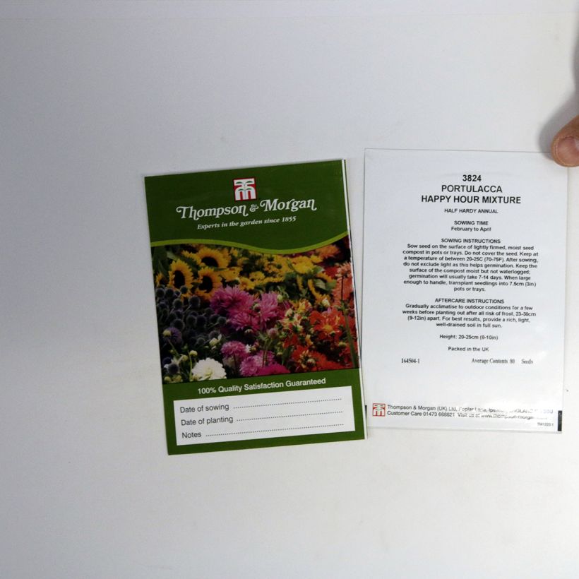 Example of Portulaca grandiflora Happy Hour Mixture per pack of 80 seeds specimen as delivered