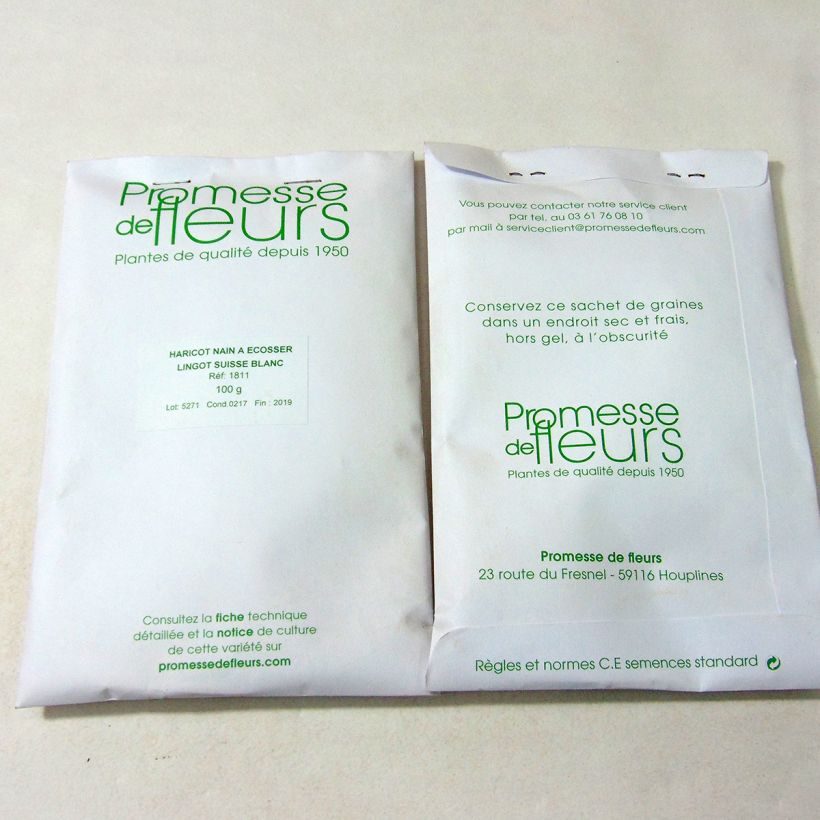 Example of Dwarf Bean for shelling Swiss white Lingot per pack of 100 seeds (100g) specimen as delivered