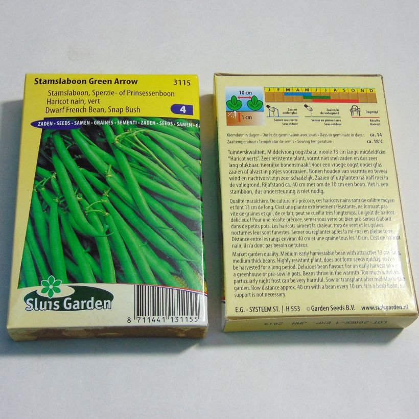 Example of Dwarf French Bean Green Arrow per pack of 150 seeds (75g) specimen as delivered