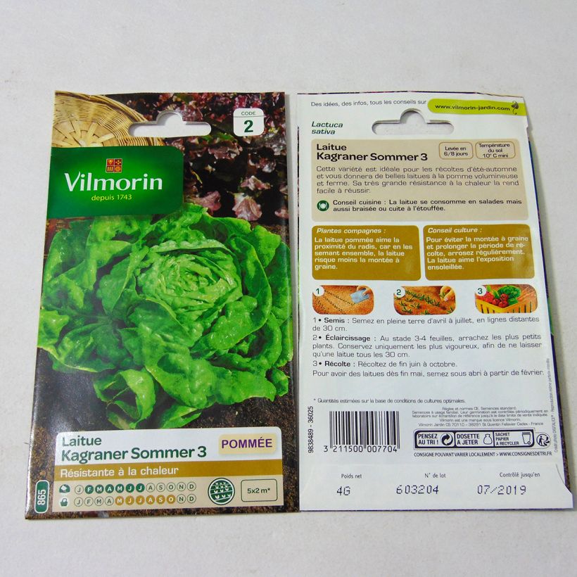 Example of Butterhead Lettuce Kagraner Sommer 3 - Vilmorin Seeds per pack of 3200 seeds (4g) specimen as delivered