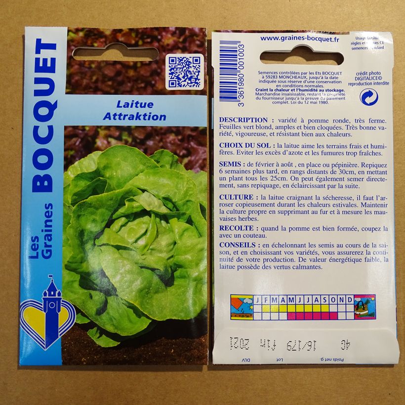 Example of Butterhead Lettuce Attraction per pack of 2500 seeds (3g) specimen as delivered