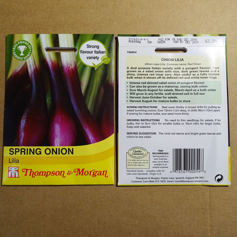 Example of Spring Red Onion Lilia - Allium cepa per pack of 500 seeds specimen as delivered