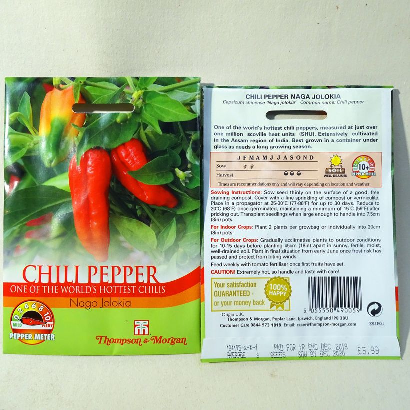 Example of Pepper Naga Jolokia - Capsicum annuum per pack of 6 seeds specimen as delivered