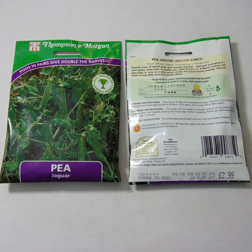Example of Jaguar Dwarf Pea per pack of 250 seeds specimen as delivered