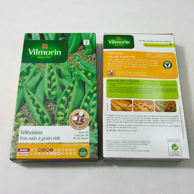 Example of Dwarf Television Pea with Wrinkled Peas per pack of 600 seeds (200g) specimen as delivered