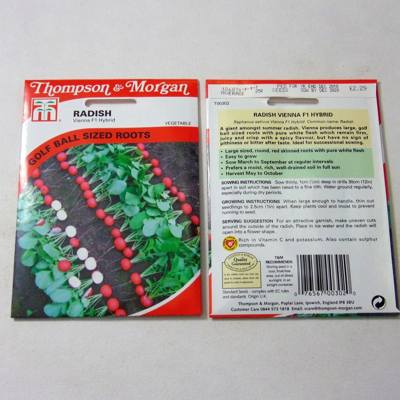 Example of Vienna F1 Radish per pack of 500 seeds (5g) specimen as delivered